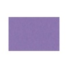 EVUS pintura Vinilo liquido RAL 4011 Color Violeta Perlado