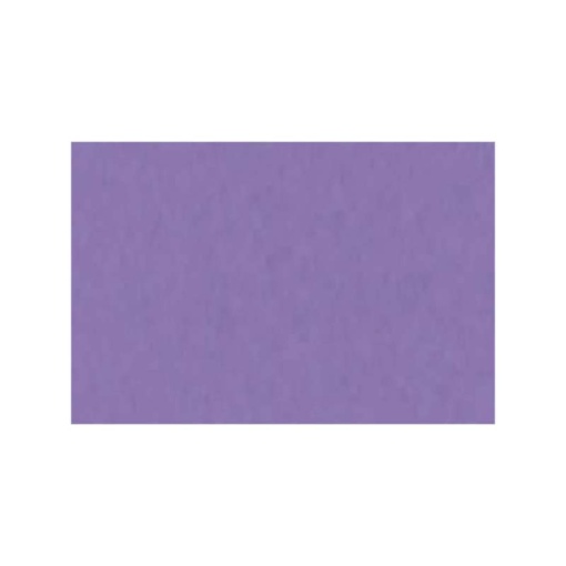 EVUS pintura Vinilo liquido RAL 4011 Color Violeta Perlado